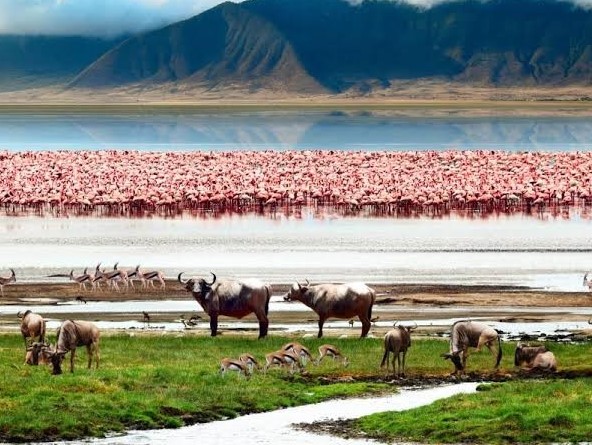 Ngorongoro Crater